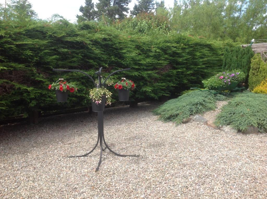 Dunroamin Bed And Breakfast Aviemore Rum bild